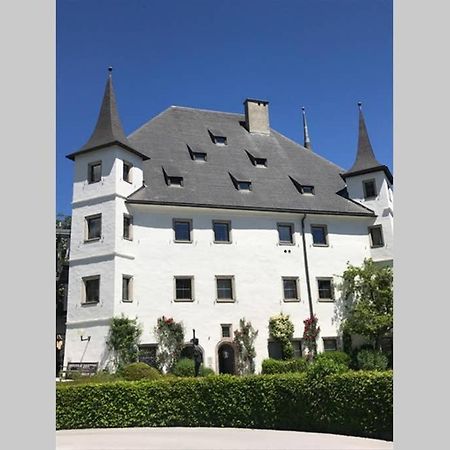 Apartment, Haus Lederer Zell am See Ngoại thất bức ảnh